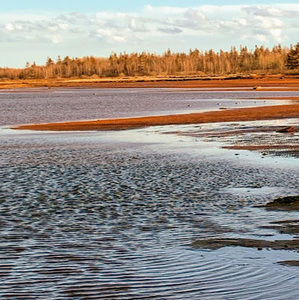 Meet your Posher, Fawn